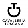 Polo de concours  Cavalleria Toscana Gris homme