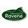 Pedicade de chez Ravene 500mL