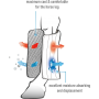 Sous Bandage Lami-Cell "WX TECH"