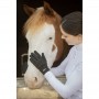 Gants d'Équitation Hiver PÉNÉLOPE
