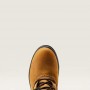 Bottes de Campagne "WITHBURN II" ARIAT Marron