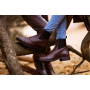 Boots d'Équitation "ZIPPER" Dyon