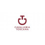 Chemise de concours manches longues CAVALLERIA TOSCANA "American" Mint Geen