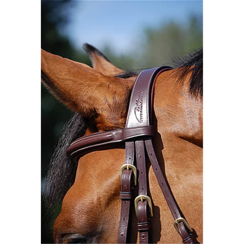 Dyon - Briderie, chaps et matériel pour cheval et cavalier