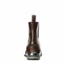 Boots ARIAT "DEVON NITRO PADDOCK ZIP" Brun