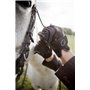 Gants V-SKIN Noir