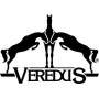 Guêtre "CARBON GEL" VEREDUS