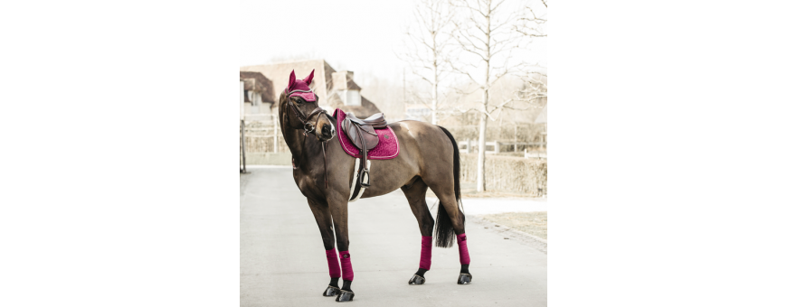 Tapis de selle cheval KENTUCKY